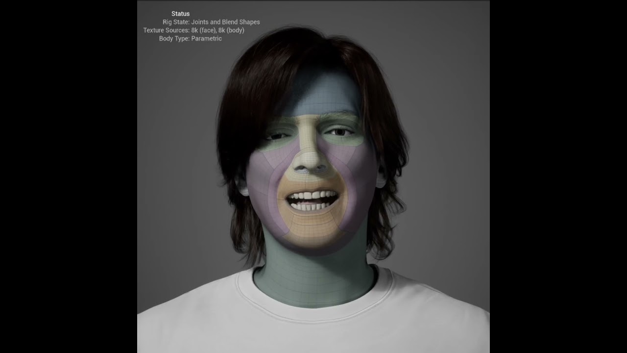 MetaHuman head with its face topology shown in colour zones
